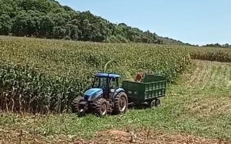 Departamento de Agricultura auxilia na preparação da silagem